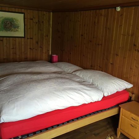 Wohlfuehloase Fuer Mensch Und Hund Bed and Breakfast Uzwil Εξωτερικό φωτογραφία
