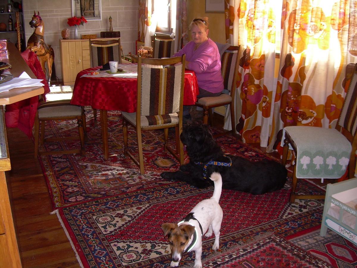 Wohlfuehloase Fuer Mensch Und Hund Bed and Breakfast Uzwil Εξωτερικό φωτογραφία
