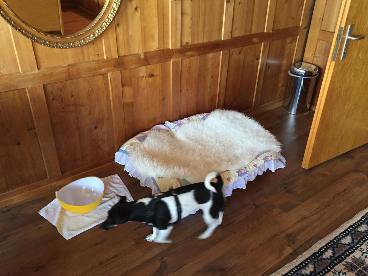 Wohlfuehloase Fuer Mensch Und Hund Bed and Breakfast Uzwil Εξωτερικό φωτογραφία