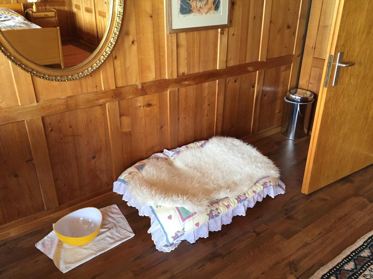 Wohlfuehloase Fuer Mensch Und Hund Bed and Breakfast Uzwil Εξωτερικό φωτογραφία