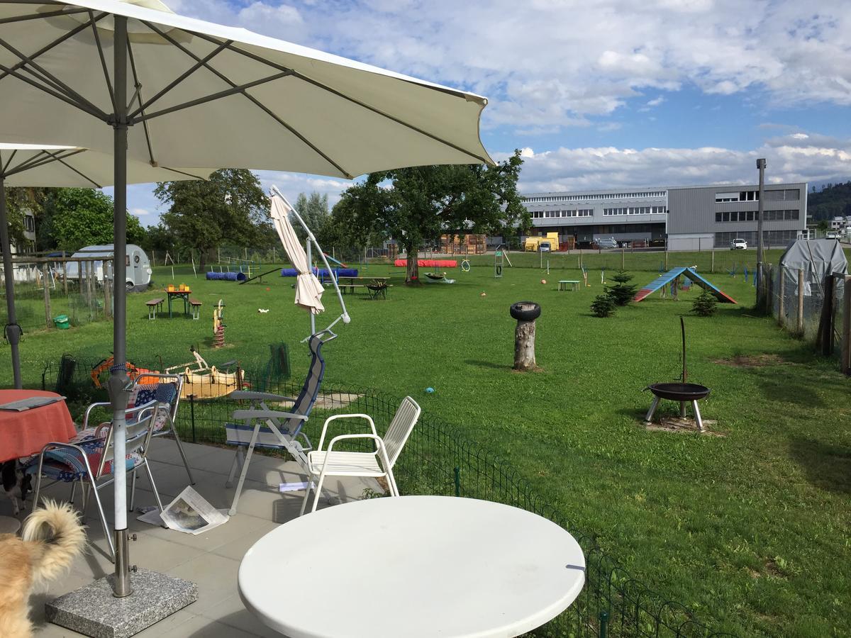 Wohlfuehloase Fuer Mensch Und Hund Bed and Breakfast Uzwil Εξωτερικό φωτογραφία